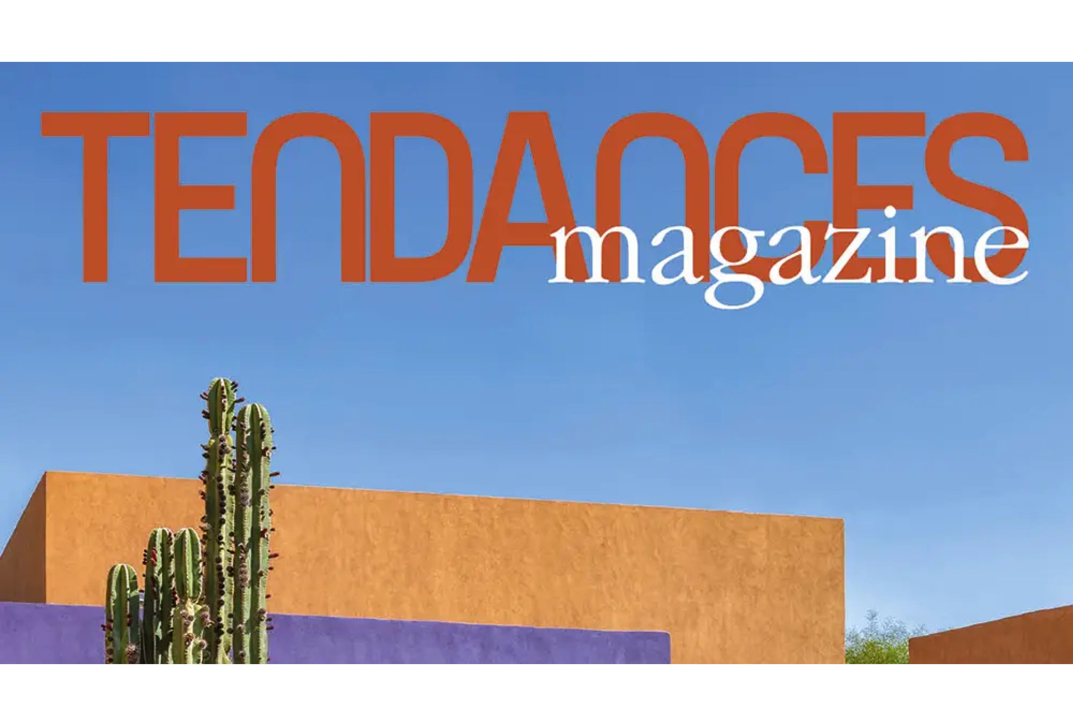 Le papier peint Léopard Savane dans Tendances Magazine