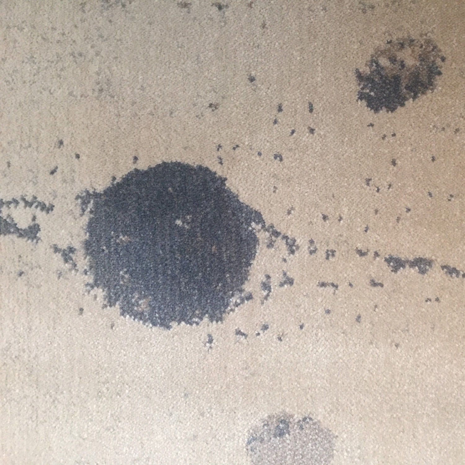 Zoom tapis en viscose 1