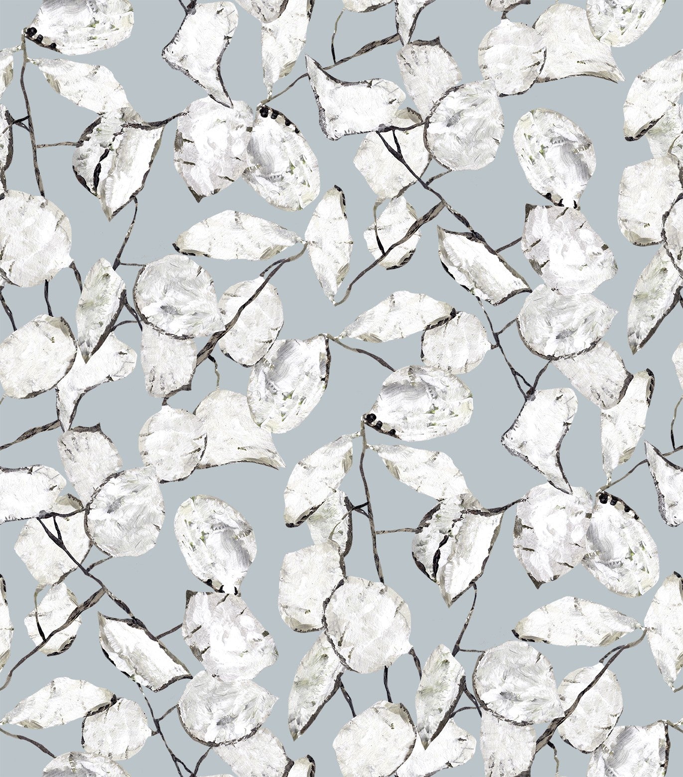 Papier peint Monnaie de Pape gris bleuté