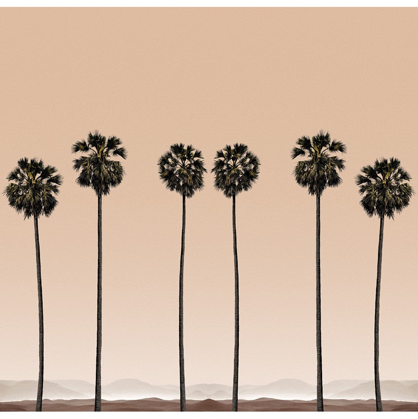 Panoramic wallpaper Palmiers