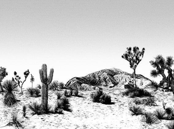 Arizona wallpaper sample