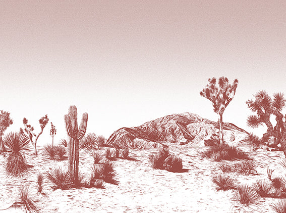 Arizona wallpaper sample