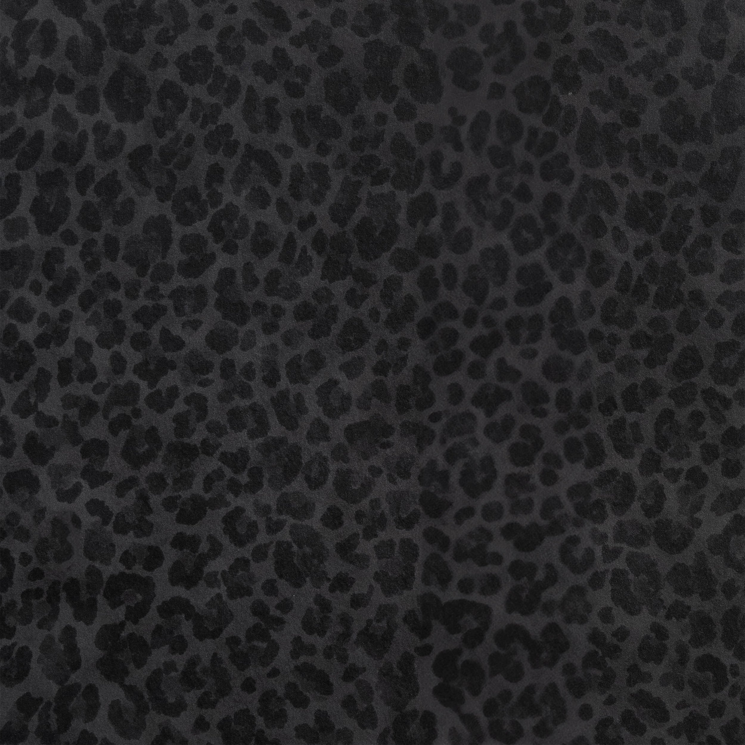 Leopard wallpaper sample