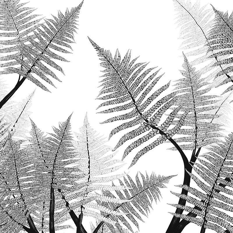 Luxuriance wallpaper sample