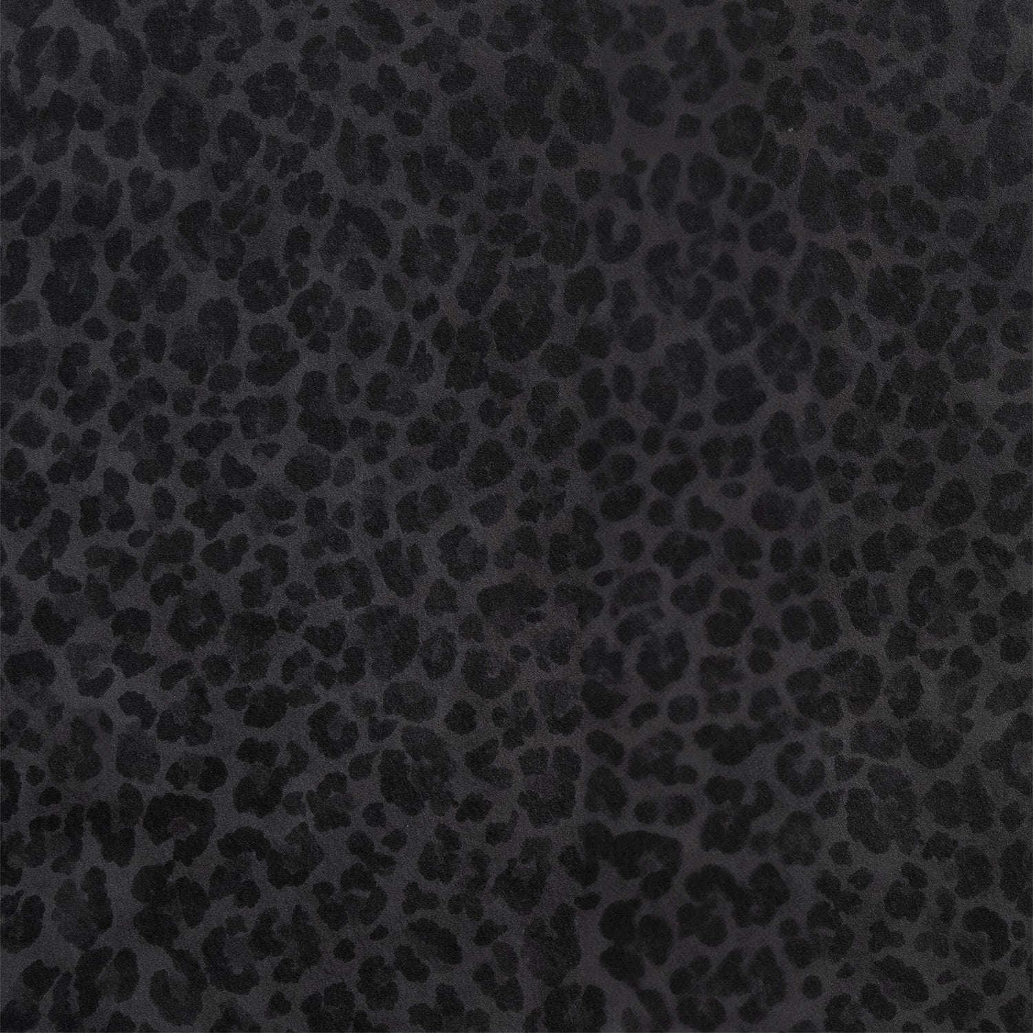 Papier peint Leopard noir