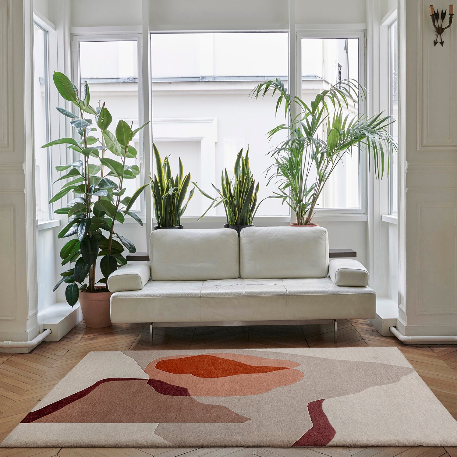 Rug Terra