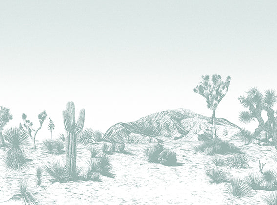 Echantillon papier peint Arizona
